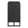 Dhamapur Black 2 Doors Cabinet