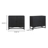 Dhamapur Black 2 Doors Cabinet