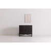Dhamapur Black 2 Doors Cabinet