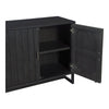 Dhamapur Black 2 Doors Cabinet