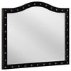 Dhabdhabewadi Black Velvet Mirror