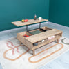 Jadhavwadi Light Brown Grey Lift Top Coffee Table