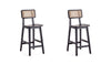 Hirawade 2 Black Nature Cane Counter Height Stools