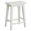 Kaneriwadi White Counter Height Stool